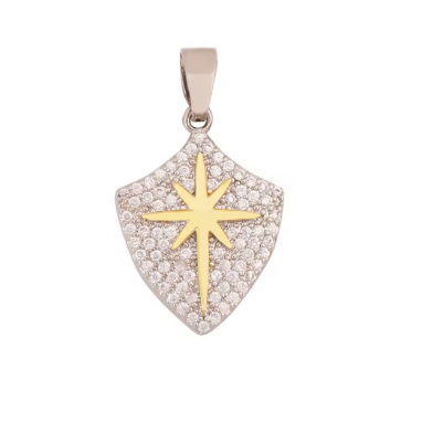Shield Paved Charm