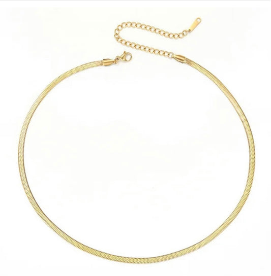 Medussa Chain